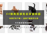 【貓咪素材】44種免去背貓咪圖庫免費打包下載 / 貓咪PNG素材圖案