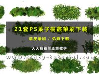 【樹叢筆刷】21套PHOTOSHOP葉子樹叢筆刷下載