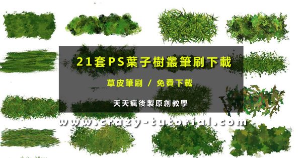 【樹叢筆刷】21套PHOTOSHOP葉子樹叢筆刷下載 【樹叢筆刷】21套PHOTOSHOP葉子樹叢筆刷下載