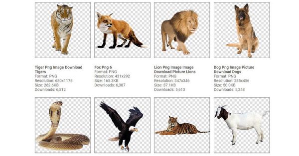 【動物圖案】144種動物圖案png下載，而且都已經幫你去背好了