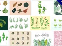 【葉子素材】70套 illustrator AI葉子素材下載，葉子圖案專用款