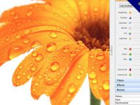 【相片後製】PC Image Editor 相片後製軟體，自動調整色階、對比和亮度。