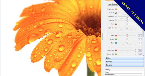 【相片後製】PC Image Editor 相片後製軟體，自動調整色階、對比和亮度。