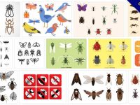 【昆蟲圖案】100套 illustrator 昆蟲圖案下載，Q版昆蟲推薦款