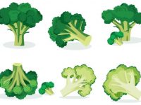 【花椰菜圖片】35套 Illustrator 花椰菜圖案下載，花椰菜素材推薦款