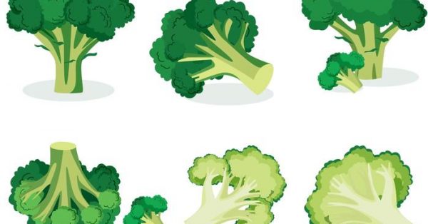 【花椰菜圖片】35套 Illustrator 花椰菜圖案下載,花椰菜素材推薦款 【花椰菜圖片】35套 Illustrator 花椰菜圖案下載,花椰菜素材推薦款