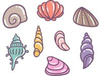 【貝殼圖案】38套 Illustrator 貝殼卡通圖下載，貝殼圖片推薦款