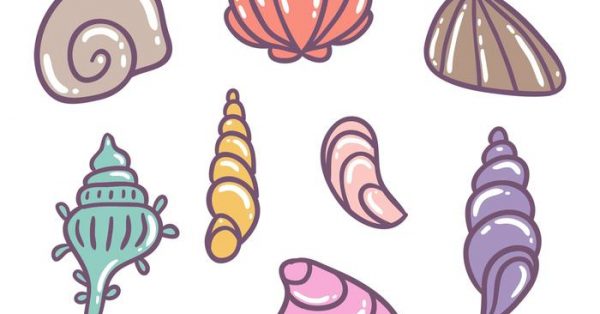 【貝殼圖案】38套 Illustrator 貝殼卡通圖下載,貝殼圖片推薦款 【貝殼圖案】38套 Illustrator 貝殼卡通圖下載,貝殼圖片推薦款