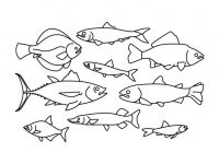 【小魚卡通圖】38套 Illustrator 小魚圖騰下載，小魚圖畫推薦款