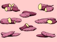【芋頭圖片】50套 Illustrator 芋頭圖卡通下載，芋頭圖案推薦款