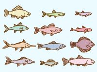 【小魚圖案】39套 Illustrator 小魚 q版圖下載，小魚符號推薦款