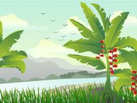 【叢林素材】29套 Illustrator 叢林背景下載，叢林插畫推薦款
