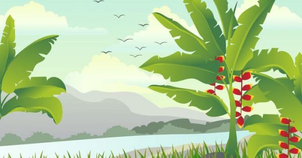 【叢林素材】29套 Illustrator 叢林背景下載,叢林插畫推薦款 【叢林素材】29套 Illustrator 叢林背景下載,叢林插畫推薦款