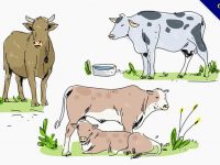【乳牛卡通圖】34套 Illustrator 乳牛圖案下載，乳牛 q 版圖推薦款