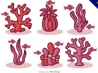 【珊瑚圖片】39套 Illustrator 珊瑚素材下載，珊瑚壁紙推薦款