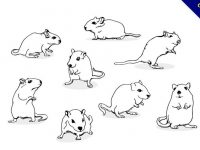 【老鼠圖案】35套 Illustrator 老鼠Q版圖下載，老鼠卡通圖推薦款