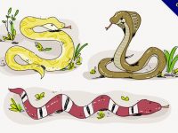 【蛇卡通圖案】34套 Illustrator 蛇 q 版圖案下載，蛇 圖案推薦款