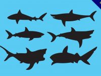 【鯊魚圖案】38套 Illustrator 鯊魚圖片下載，鯊魚圖畫推薦款