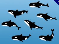 【鯨魚q 版圖】36套 Illustrator 鯨魚圖案下載，鯨魚卡通圖推薦款