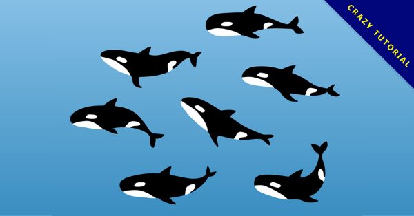 【鯨魚q 版圖】36套 Illustrator 鯨魚圖案下載,鯨魚卡通圖推薦款 【鯨魚q 版圖】36套 Illustrator 鯨魚圖案下載,鯨魚卡通圖推薦款