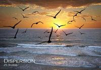 【粒子筆刷】24套專業版PHOTOSHOP 粒子筆刷免費下載 【粒子筆刷】24套專業版PHOTOSHOP 粒子筆刷免費下載