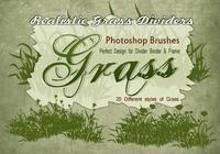 【小草筆刷】41套高畫質PHOTOSHOP小草筆刷下載 【小草筆刷】41套高畫質PHOTOSHOP小草筆刷下載