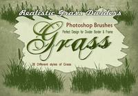 【小草筆刷】41套高畫質PHOTOSHOP小草筆刷下載 【小草筆刷】41套高畫質PHOTOSHOP小草筆刷下載