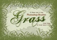 【小草筆刷】41套高畫質PHOTOSHOP小草筆刷下載 【小草筆刷】41套高畫質PHOTOSHOP小草筆刷下載