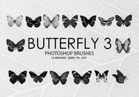 【蝴蝶筆刷】40套專業版PHOTOSHOP蝴蝶筆刷免費下載 【蝴蝶筆刷】40套專業版PHOTOSHOP蝴蝶筆刷免費下載