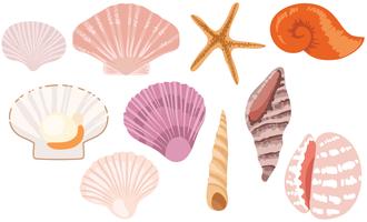 【海馬圖案】36套 Illustrator 海馬素材下載,海馬圖片推薦款 【海馬圖案】36套 Illustrator 海馬素材下載,海馬圖片推薦款