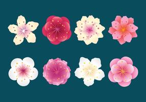 【櫻花素材】70套illustrator 櫻花背景圖案素材下載,櫻花花瓣推薦款 【櫻花素材】70套illustrator 櫻花背景圖案素材下載,櫻花花瓣推薦款