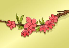 【梅花圖案】精選34款梅花圖案下載,梅花圖免費推薦款 【梅花圖案】精選34款梅花圖案下載,梅花圖免費推薦款