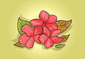 【梅花圖案】精選34款梅花圖案下載,梅花圖免費推薦款 【梅花圖案】精選34款梅花圖案下載,梅花圖免費推薦款