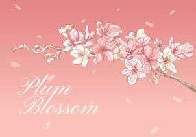 【梅花圖案】精選34款梅花圖案下載,梅花圖免費推薦款 【梅花圖案】精選34款梅花圖案下載,梅花圖免費推薦款