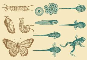【昆蟲圖案】100套 illustrator 昆蟲圖案下載,Q版昆蟲推薦款 【昆蟲圖案】100套 illustrator 昆蟲圖案下載,Q版昆蟲推薦款