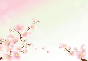 【櫻花背景】精選35款櫻花背景下載,櫻花背景圖免費推薦款 【櫻花背景】精選35款櫻花背景下載,櫻花背景圖免費推薦款