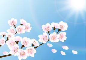 【櫻花背景】精選35款櫻花背景下載,櫻花背景圖免費推薦款 【櫻花背景】精選35款櫻花背景下載,櫻花背景圖免費推薦款