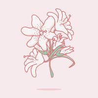 【百合花圖片】34套 Illustrator 百合花圖案下載,百合花圖騰推薦款 【百合花圖片】34套 Illustrator 百合花圖案下載,百合花圖騰推薦款