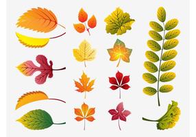 【楓葉圖片】35套 Illustrator 楓葉圖案下載,楓葉素材推薦款 【楓葉圖片】35套 Illustrator 楓葉圖案下載,楓葉素材推薦款