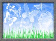 【蝴蝶筆刷】40套專業版PHOTOSHOP蝴蝶筆刷免費下載 【蝴蝶筆刷】40套專業版PHOTOSHOP蝴蝶筆刷免費下載