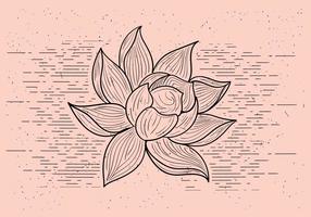 【花png】31套 Illustrator 花圖案下載,花插畫推薦款 【花png】31套 Illustrator 花圖案下載,花插畫推薦款