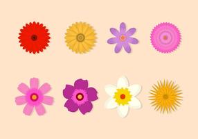 【花卉圖案】精選35款花卉圖案下載,花卉圖免費推薦款 【花卉圖案】精選35款花卉圖案下載,花卉圖免費推薦款