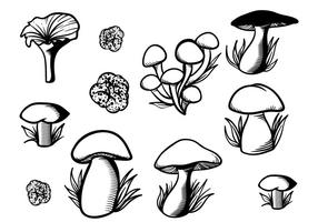 【香菇圖片】55套 Illustrator 香菇圖案下載,香菇插畫推薦款 【香菇圖片】55套 Illustrator 香菇圖案下載,香菇插畫推薦款