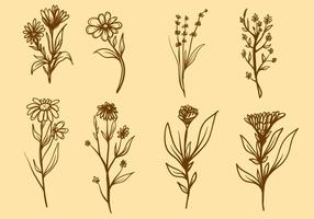 【花卉圖案】精選35款花卉圖案下載,花卉圖免費推薦款 【花卉圖案】精選35款花卉圖案下載,花卉圖免費推薦款