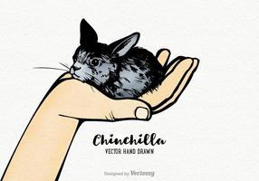 【老鼠圖案】35套 Illustrator 老鼠Q版圖下載,老鼠卡通圖推薦款 【老鼠圖案】35套 Illustrator 老鼠Q版圖下載,老鼠卡通圖推薦款