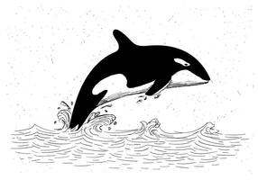 【鯨魚q 版圖】36套 Illustrator 鯨魚圖案下載,鯨魚卡通圖推薦款 【鯨魚q 版圖】36套 Illustrator 鯨魚圖案下載,鯨魚卡通圖推薦款