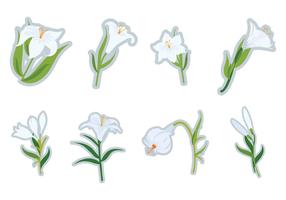 【百合花圖片】34套 Illustrator 百合花圖案下載,百合花圖騰推薦款 【百合花圖片】34套 Illustrator 百合花圖案下載,百合花圖騰推薦款