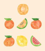 【奇異果圖片】28套 Illustrator 奇異果圖案下載,奇異果素材推薦款 【奇異果圖片】28套 Illustrator 奇異果圖案下載,奇異果素材推薦款