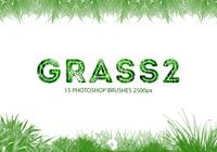 【小草筆刷】41套高畫質PHOTOSHOP小草筆刷下載 【小草筆刷】41套高畫質PHOTOSHOP小草筆刷下載