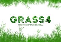 【小草筆刷】41套高畫質PHOTOSHOP小草筆刷下載 【小草筆刷】41套高畫質PHOTOSHOP小草筆刷下載